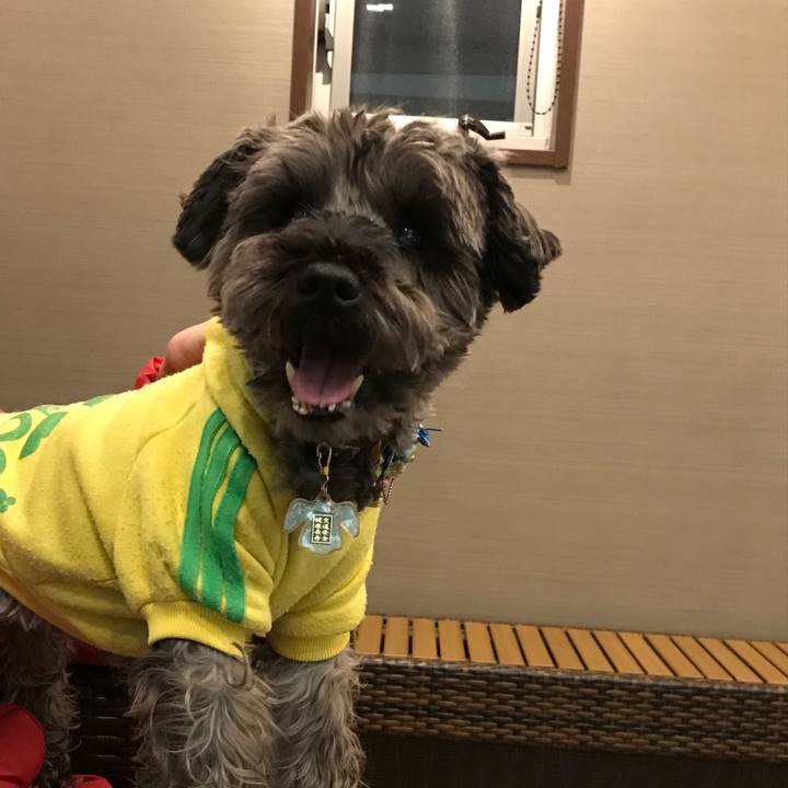 E08b485c 9786 4690 a70c 3bc23033b638 1516704686058