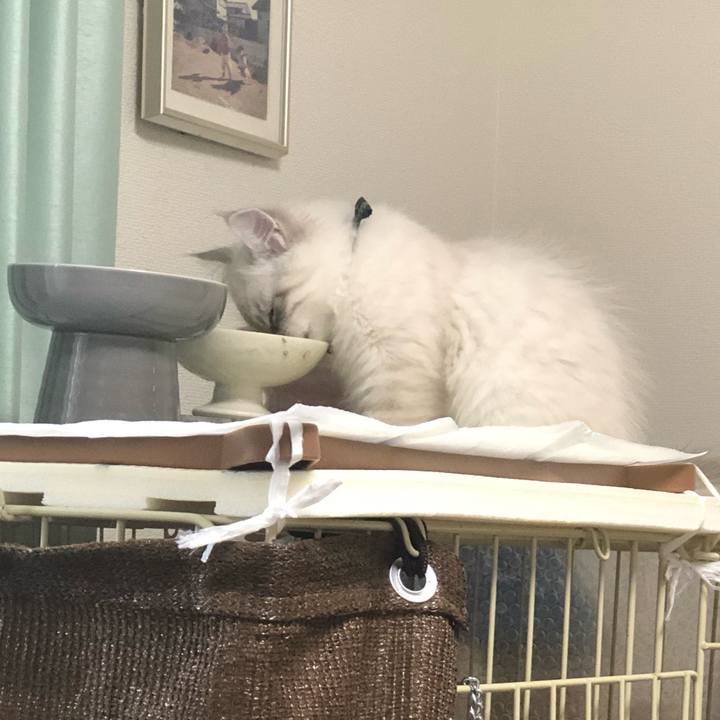 E08b60c0 27bc 4512 b1ca 4dfac1337797 1667738968322