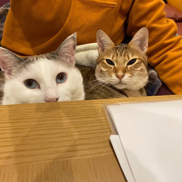 E08b7865 0e9d 4cb8 904d 3088d146d19d 1640864704747