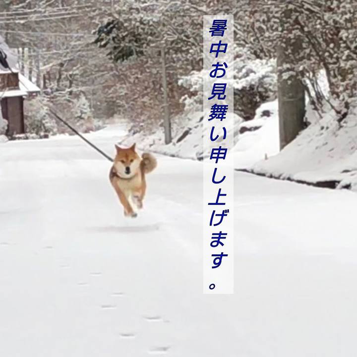E08b9b2e 19b0 42d0 afa7 b3187107c066 1626741237869