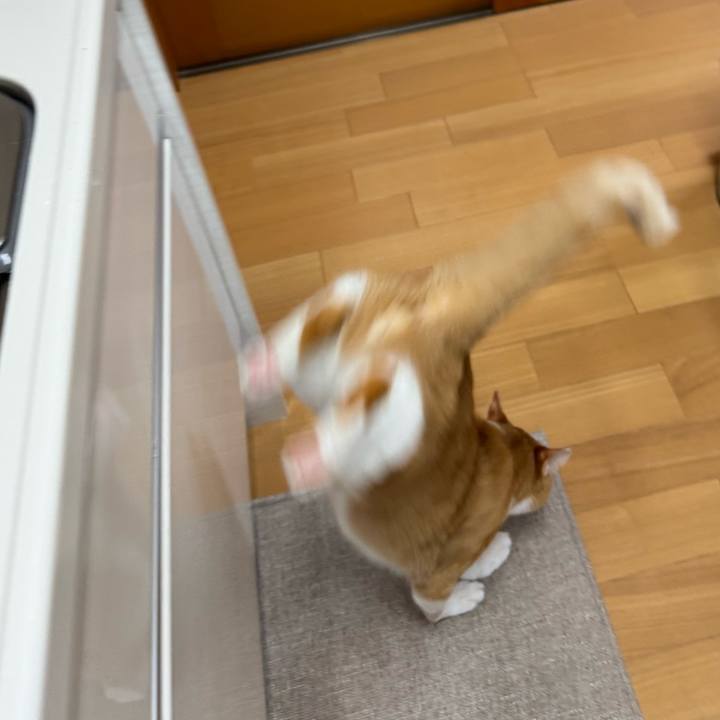 E08bc788 1d56 44e0 a6ea e9ef0a4bd235 1745381836799