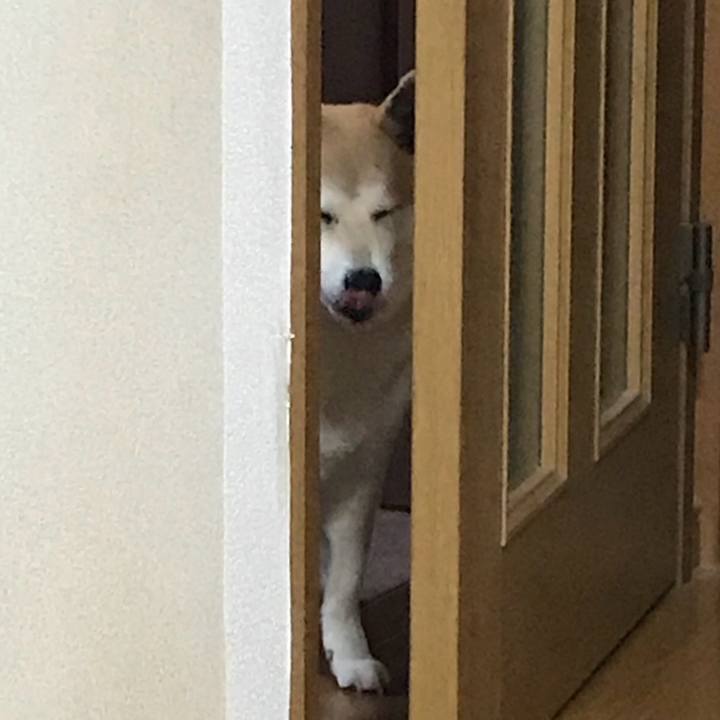 E08bf821 538f 4890 9ad2 b85c6110e573 1525843798218