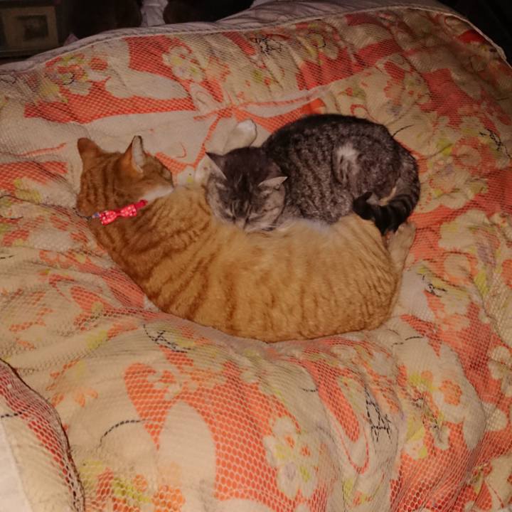 E08c048c 86f9 4506 94bf 656773c00d6d 1576943057635