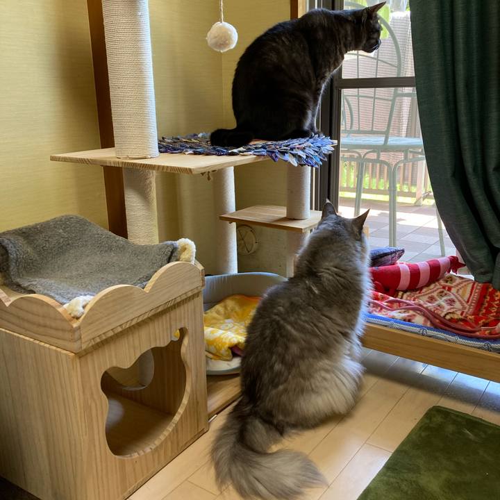 E08c1dc9 ac5c 487c 8bcf 31ea4593e462 1717033396285