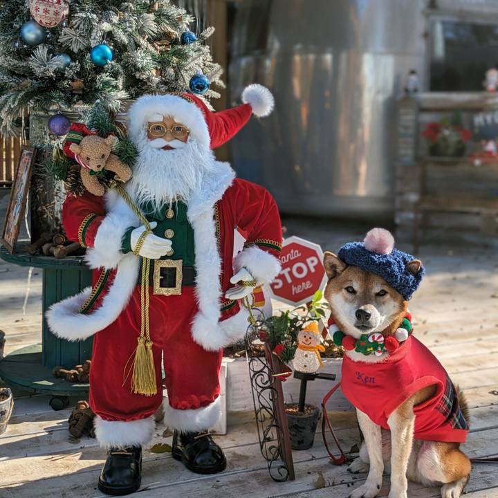 E08c8c04 81aa 4c82 b38a 520744f7b585 1702011602524