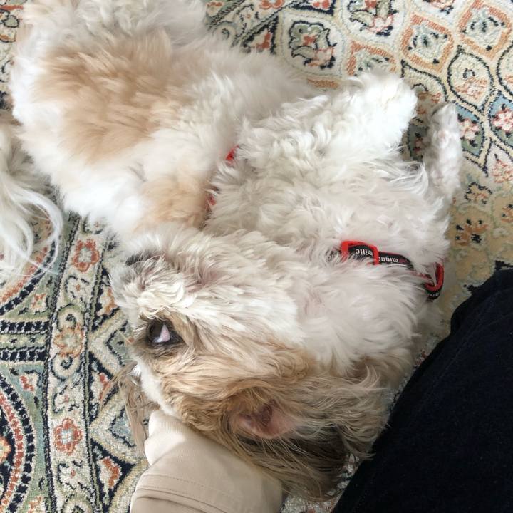 E08cdb5c 249a 4f3b bc42 06db711b3129 1556075849759