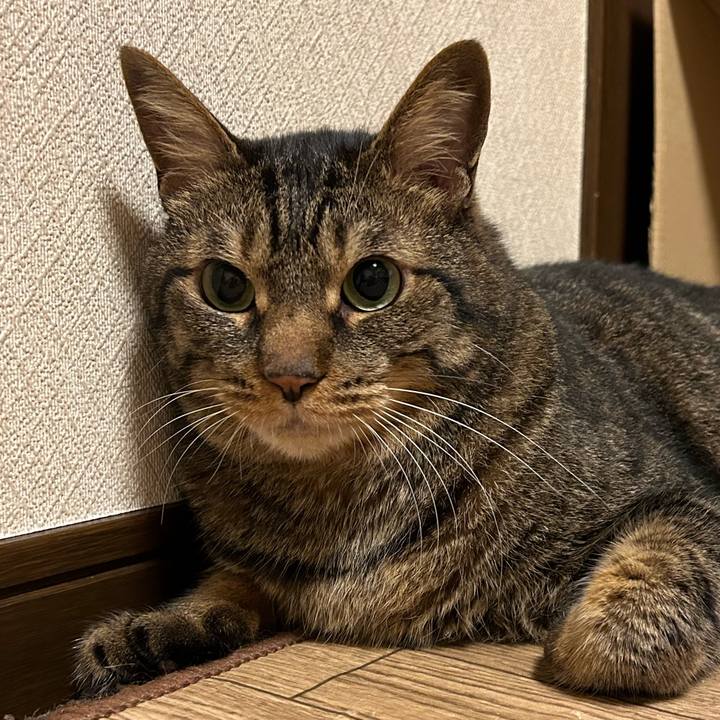 E08d078d 3aa5 42a5 96fb ad0bcc927b45 1689422672161