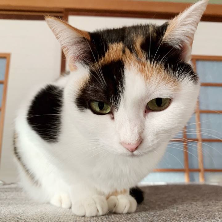 E08d1efe ca03 48be 9e20 5b3e49190a26 1544840195288