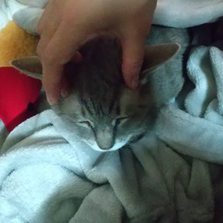 E08d63b7 5027 4044 9e06 a1191026f838 1696977467593