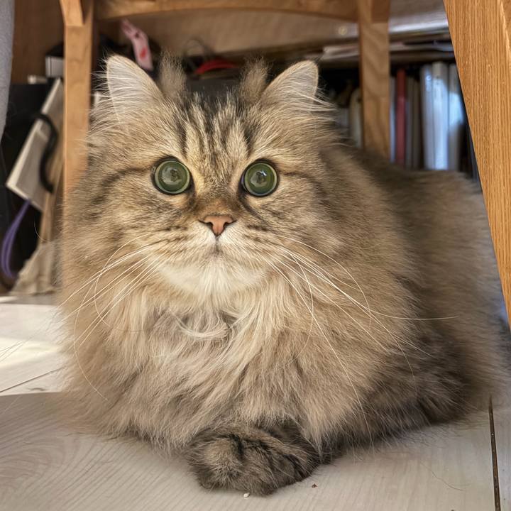 E08d7c16 3b00 4240 ad47 5207737d9255 1774623339631