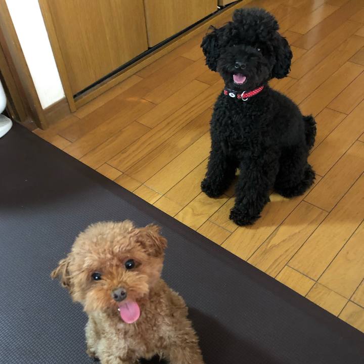 E08de5c2 9702 4031 b5e6 90c8e54d6e1b 1570321332121