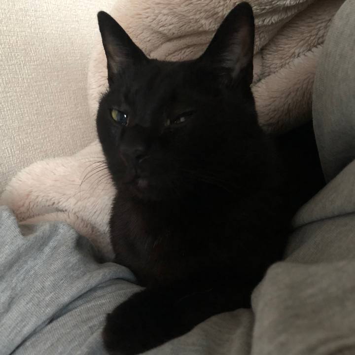 E08dedf1 c3e8 4420 83ae 84edd212c25f 1731191871143