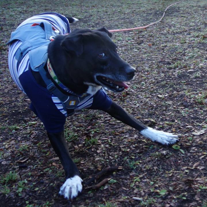 E08e2966 2156 4c16 ad82 a6015e0af735 1705975877040