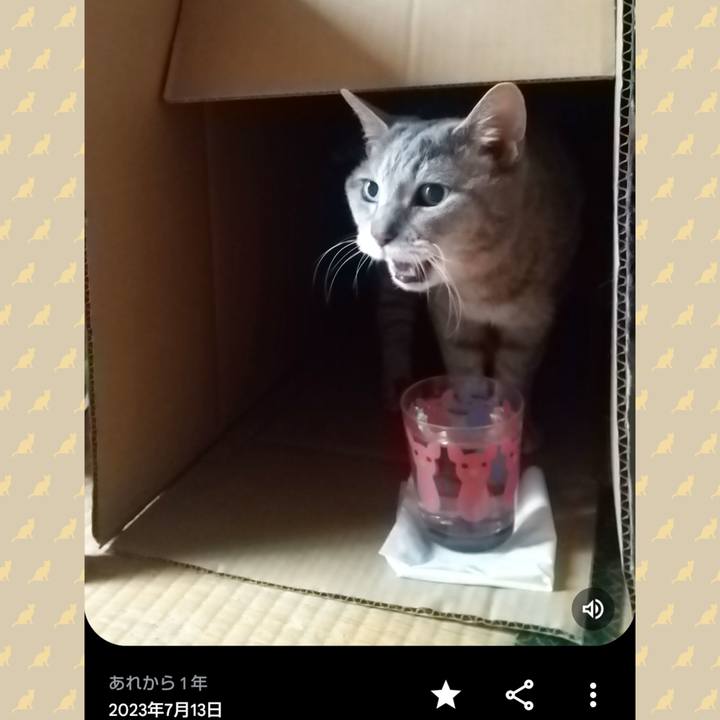 E08e3bc6 4709 4450 bf3c ed3b1def90bc 1720865121156