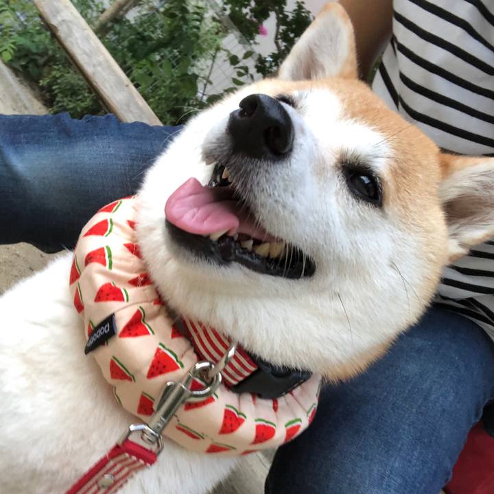 E08e7ecf e168 49e5 9221 16da4d075916 1565733361310