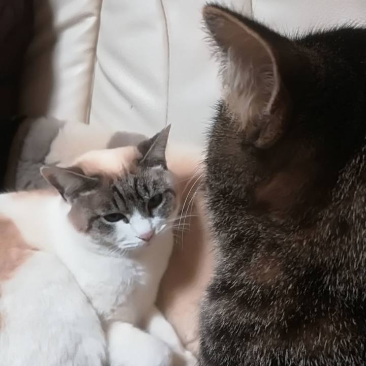 E08eb153 8cad 4678 91c6 a322ec24b7e7 1517837636036