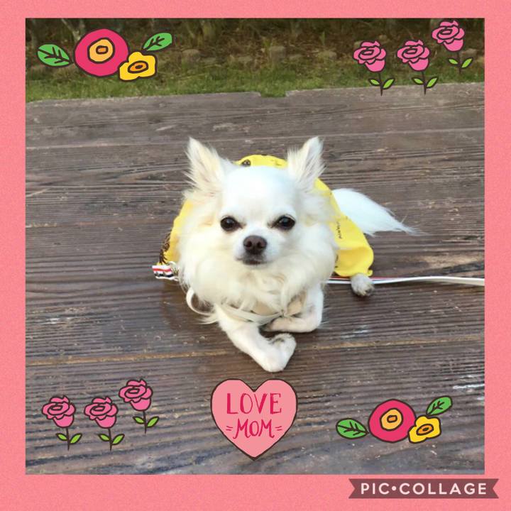 E08eb9fd 8b7a 4b16 82cb 460eff8429bf 1537188939654