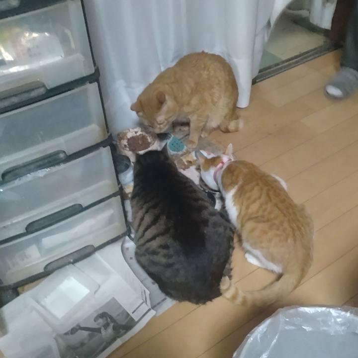 E08ecfa9 0336 4891 bf6f a5fdb935ca0a 1741166448055