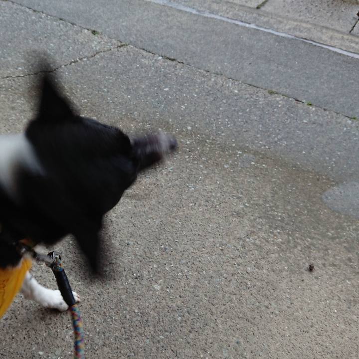 E08ed078 46cf 4f8a abf8 5036349154a9 1520211647359