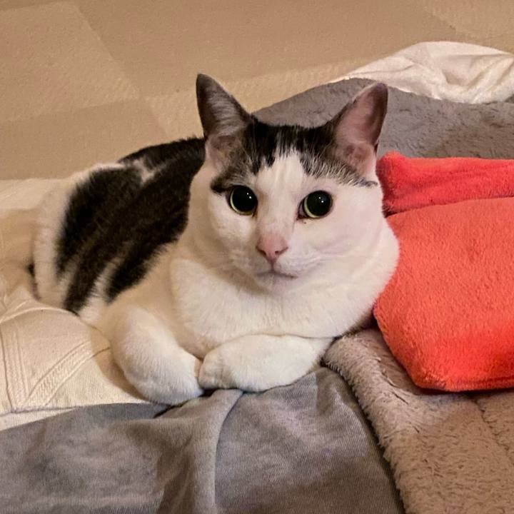 E08ed22e 098d 493f a245 3f432040ef02 1763912296036