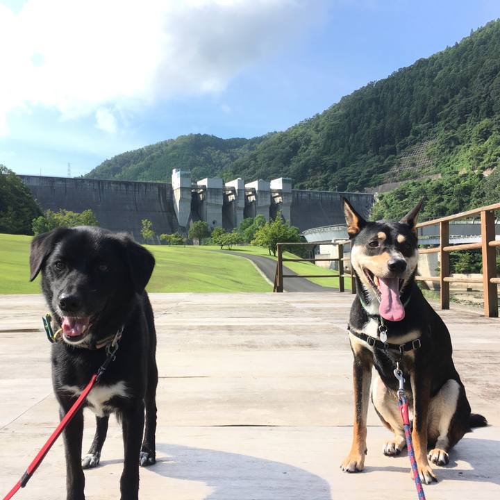 E08ed90d bd50 4d49 9a34 da408f17ad12 1534243786418