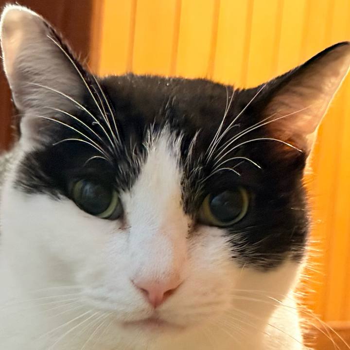 E08ee977 a11e 4a4f b117 0562eff46102 1770083494402