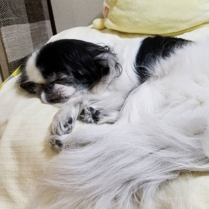 E08ef776 d604 4f02 9d60 a86af438feb0 1543751551770