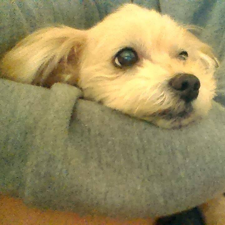 E08efb81 52ec 4cf3 9115 d40e50c8e0dc 1623097225191