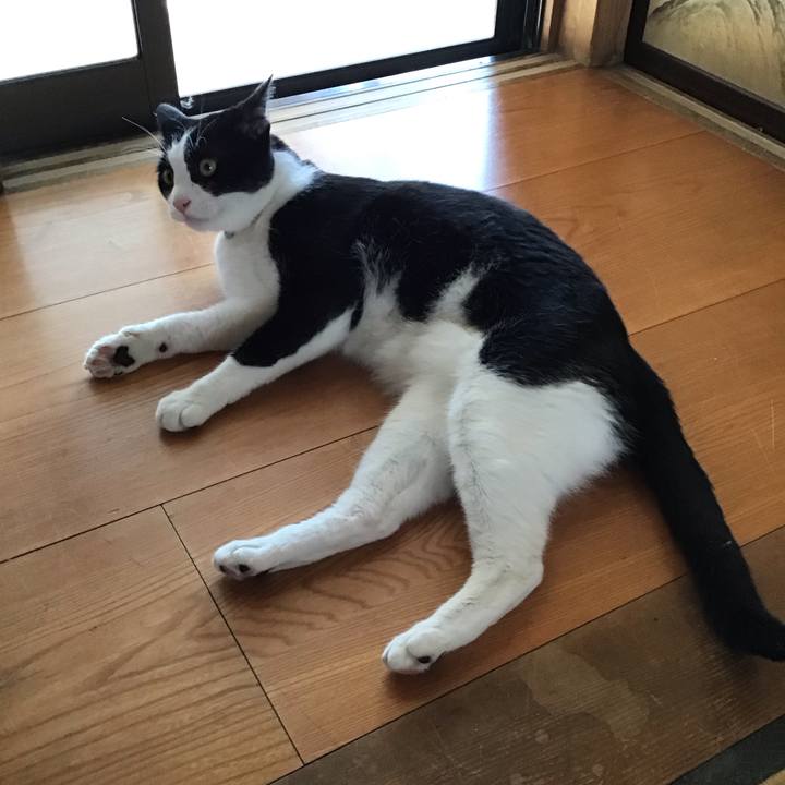 E08f09eb 22dc 4e54 b9fe da292946e8bf 1720174698700