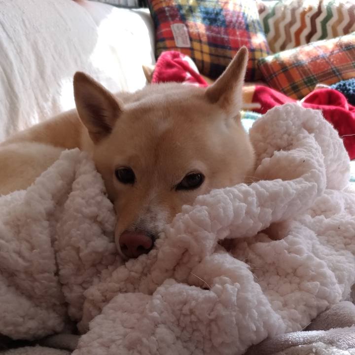 E08f1914 403f 4e67 ae5d a78911d9f938 1612231366922