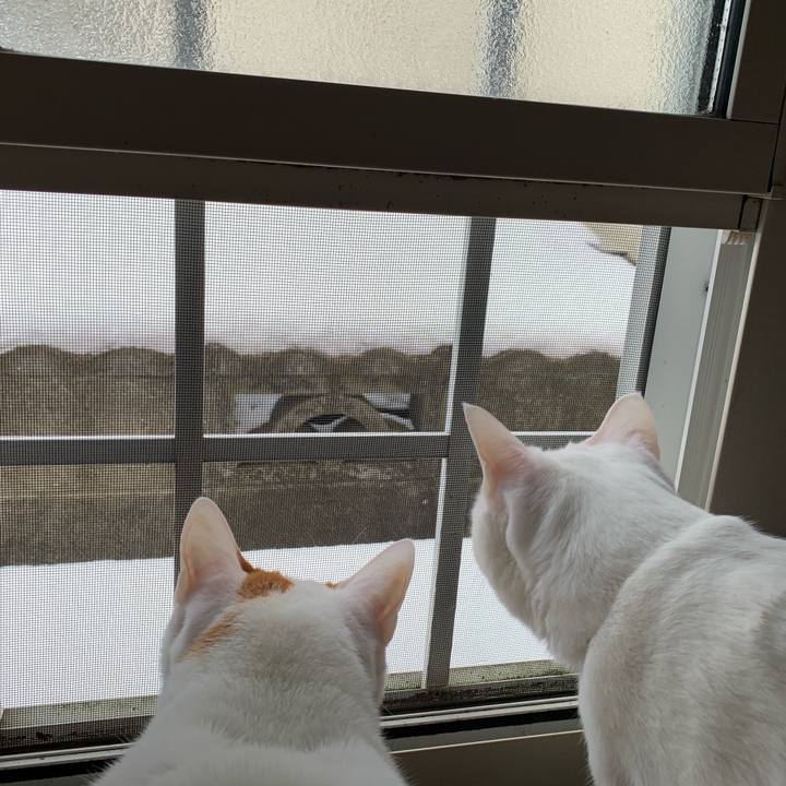 E08f71c0 5400 4d61 976e 29c390c5ba88 1610209669128