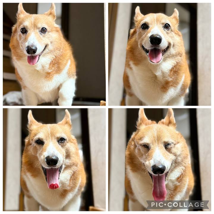 E08f8950 b32e 403e 91b9 f2fc1dfadbbb 1761534294460