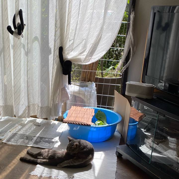 E08fb8ba 9b01 4201 8ac7 6c8635fd2a1e 1632307309506