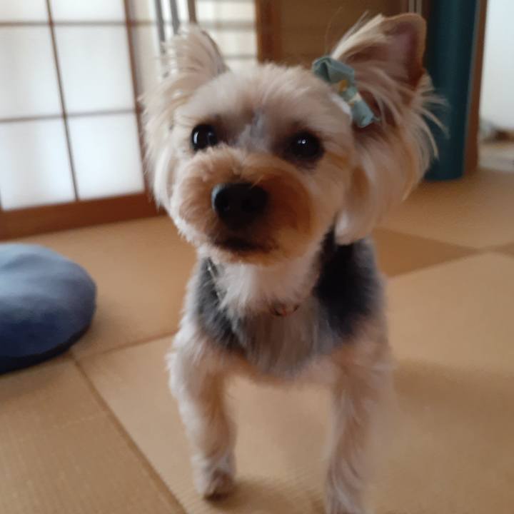 E08fe492 d28f 4ceb 8658 29fd581281c6 1591768386477