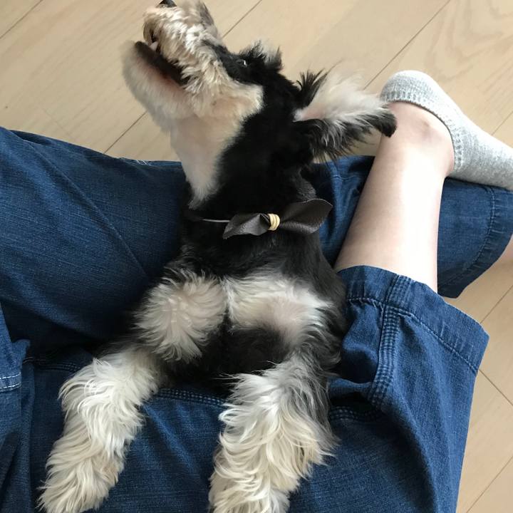 E08feb2c b857 40dc 9b14 d388253fe0b2 1558857638037