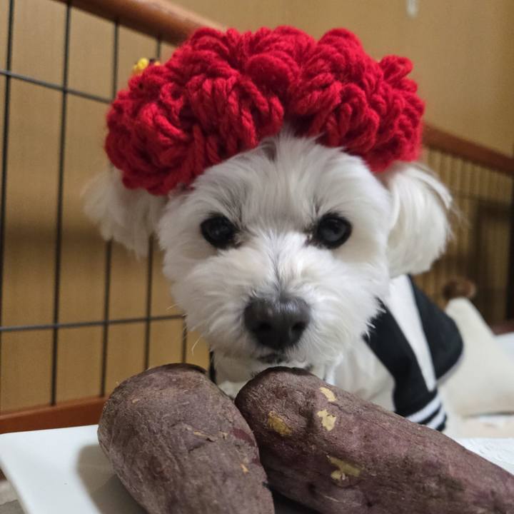 E090132a f3db 4e6a a9ed b29081a08b21 1770106839058