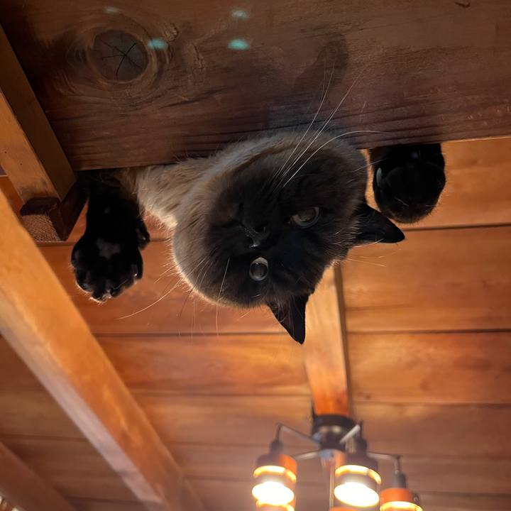 E09015d7 e93a 4db8 ba7f 2b0a5136acb9 1711340862533