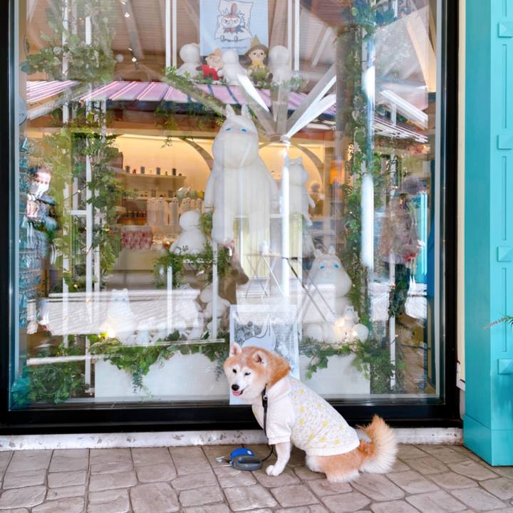 E0902719 8fc3 4946 9051 3de9ddbb1882 1639378733676