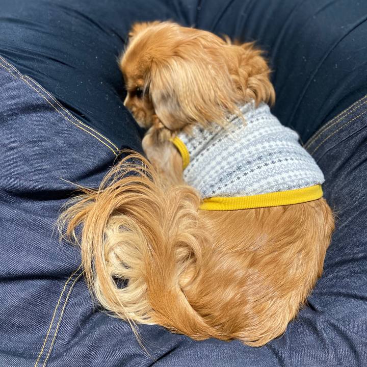 E090a82d 9295 40ad b110 159667891954 1577312079083