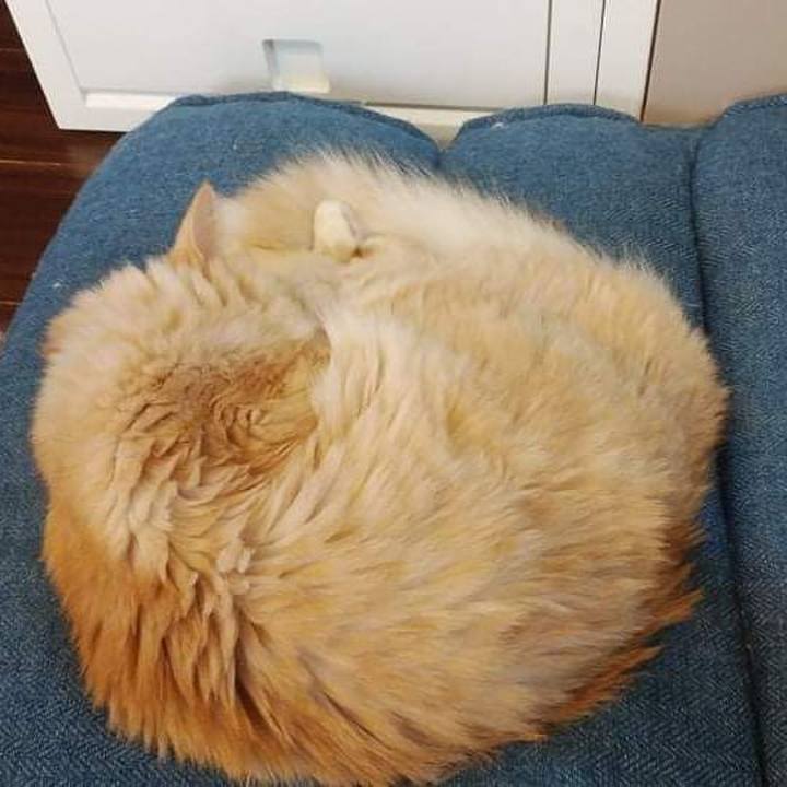 E090bcda a05a 466c 848f 41c21137ec8b 1636452325759