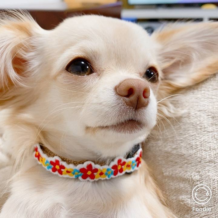 E090be5e 372d 43c4 9410 b76390e70533 1605148124773