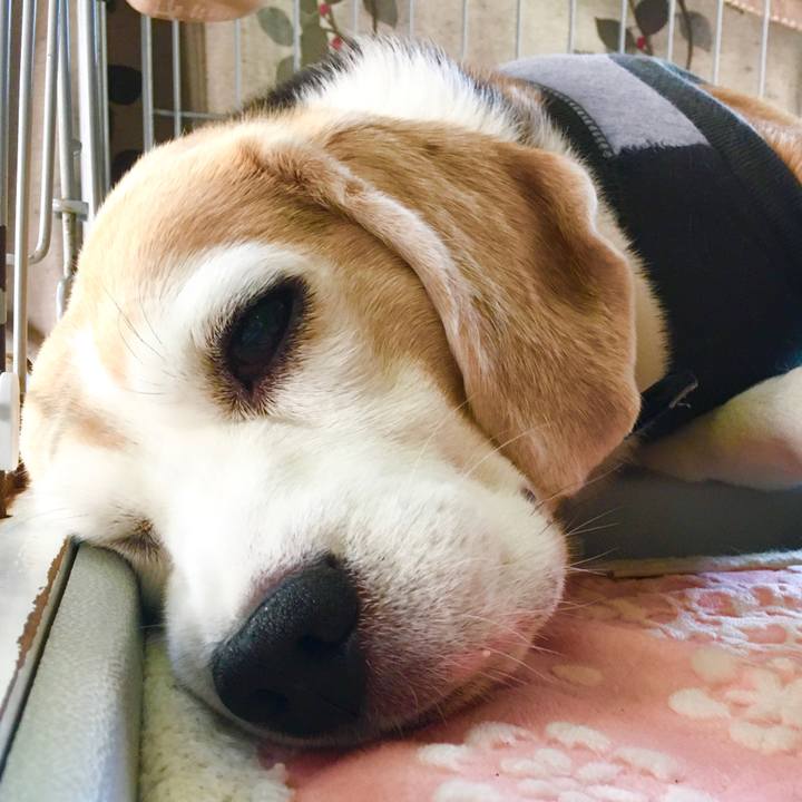 E090d4f2 52f8 4502 8318 b4012fa3e06f 1570945004648