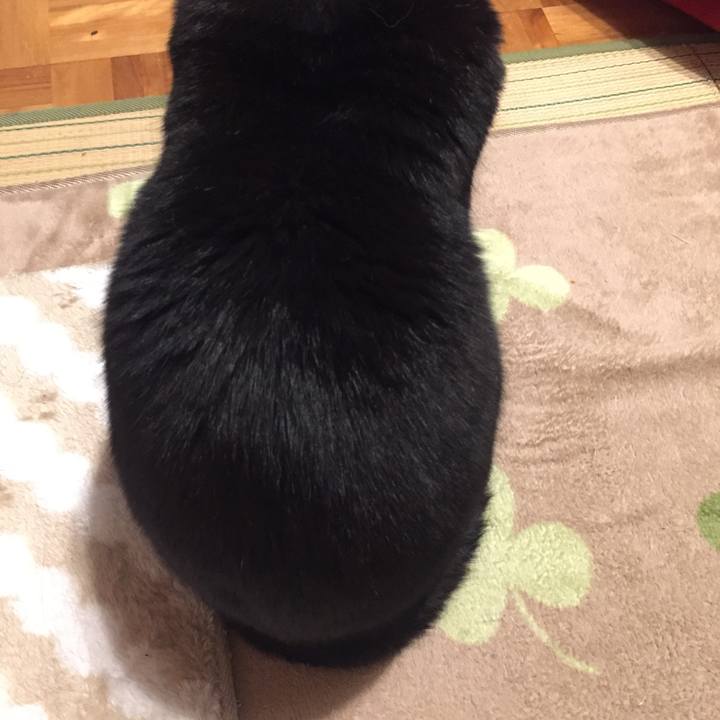 E090e520 e6bb 4f4d 87cf 98680a276231 1576448775222