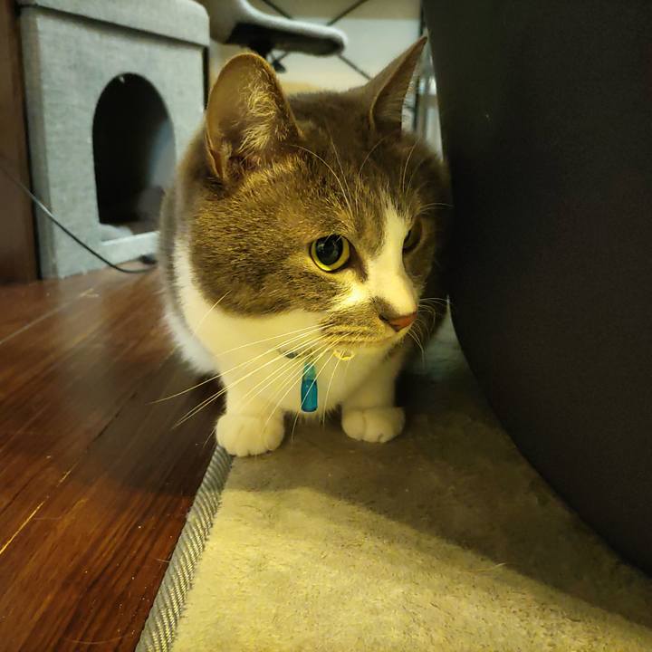 E090e708 b1fb 484e 9b9d 1c69206436a6 1675636249385