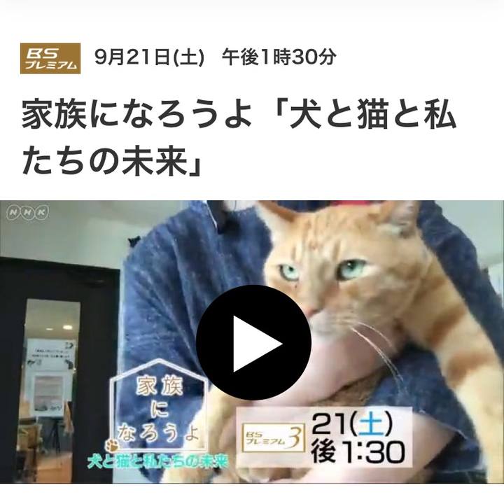 E090f16f d476 40c9 a37b e1ba18fa1404 1569029734246