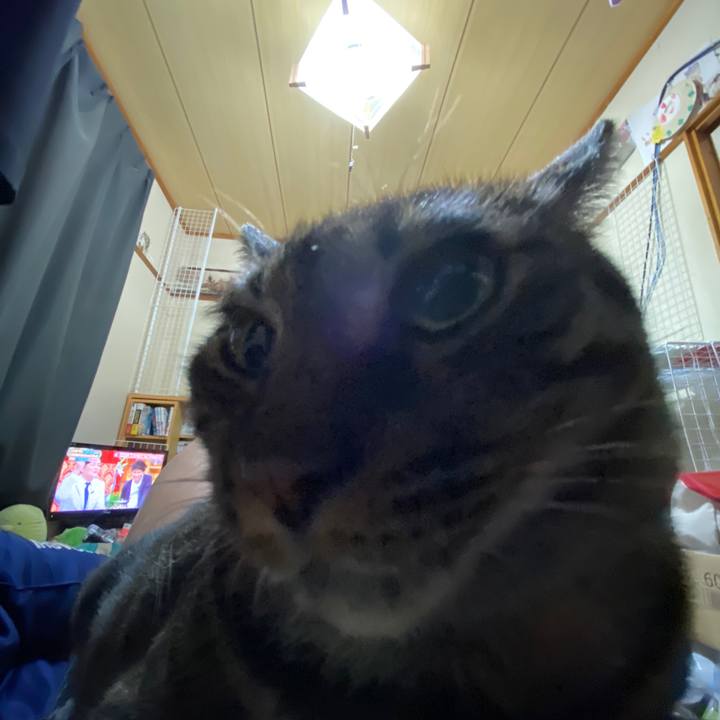 E090fb34 7852 41af b8e6 1b9c55dbf74a 1595078652978