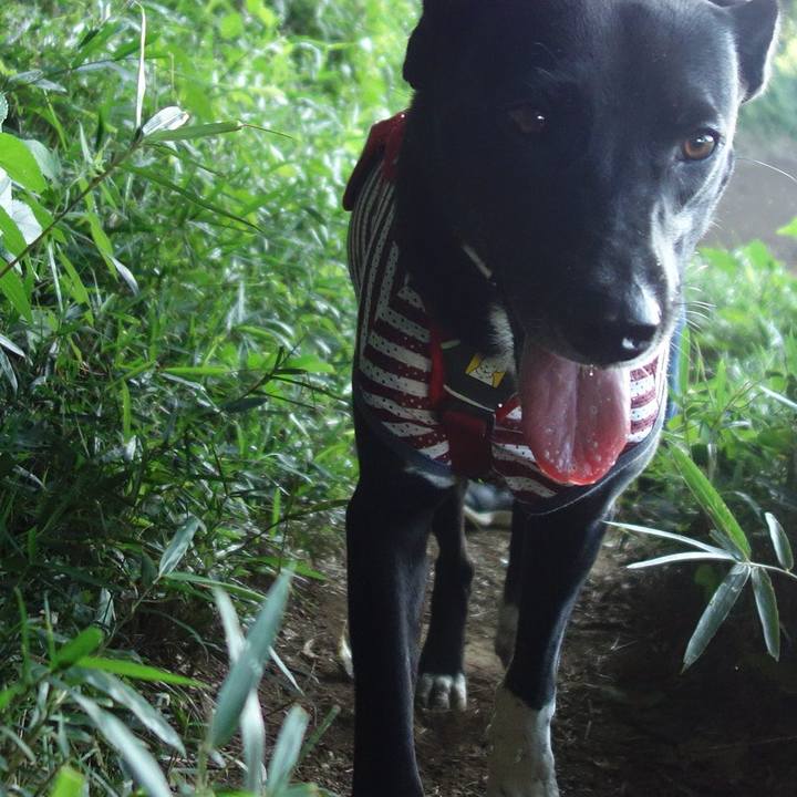 E090fd72 6f74 4b57 8202 1d976b429a21 1598312837692