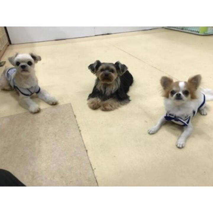 E09111f7 d043 4532 8fa8 e16e7cddbdcb 1560417262370