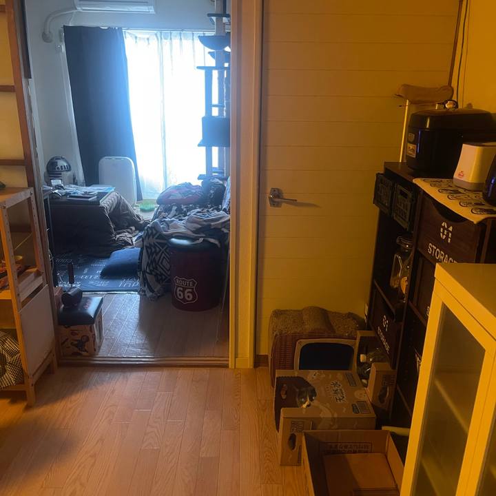 E0911e74 1c2c 4713 814d 08695cc8f297 1744509517674