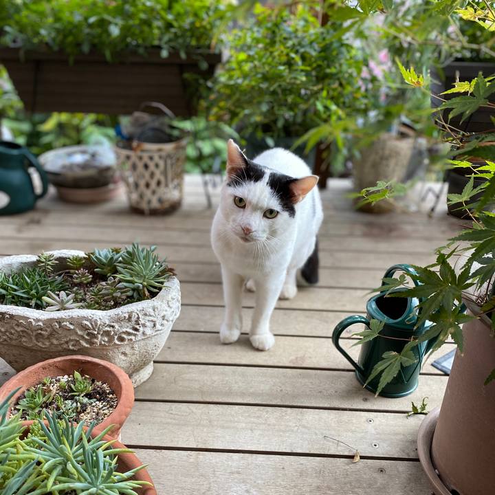 E091276b 4f7e 40a5 a69b 1af91c880e22 1603174338088